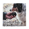 livre histoires de truffes en Provence