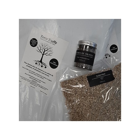 kit de dynamisation