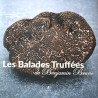 livre les balades truffées