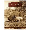 La Truffe - Age d'or et gastronomie