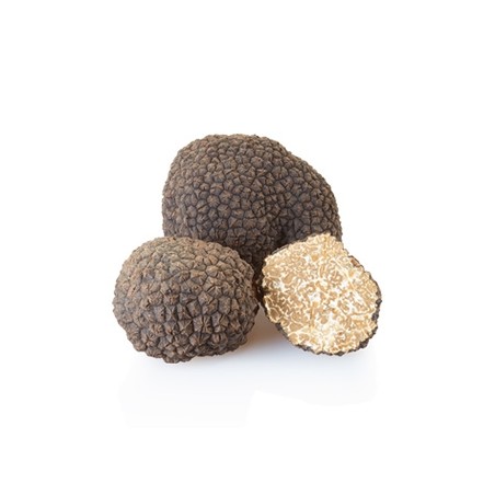 Truffe d'été Tuber Aestivum