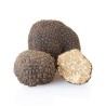Truffe d'été Tuber Aestivum