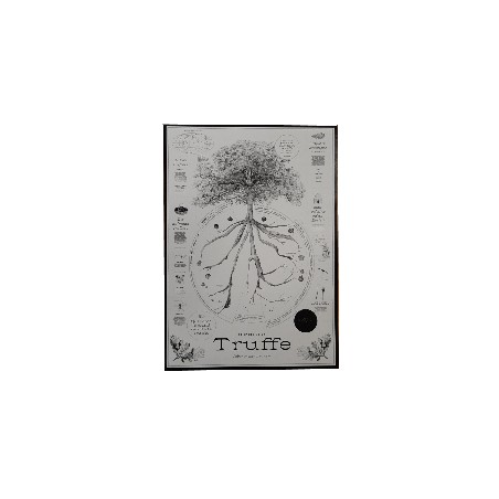 poster truffe