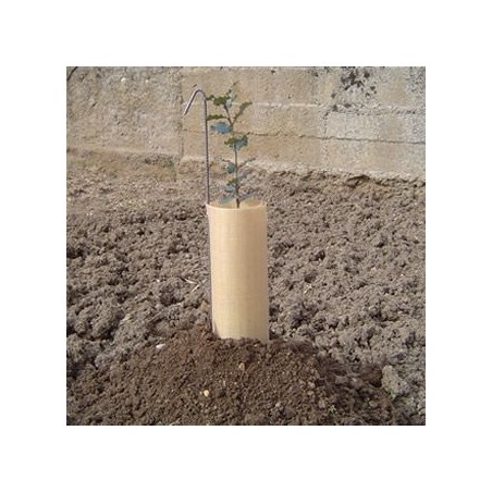 mini-serre safe-tube