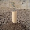 mini-serre safe-tube
