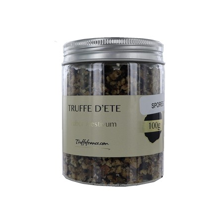 Spores truffes d'été surgelées Tuber Aestivum