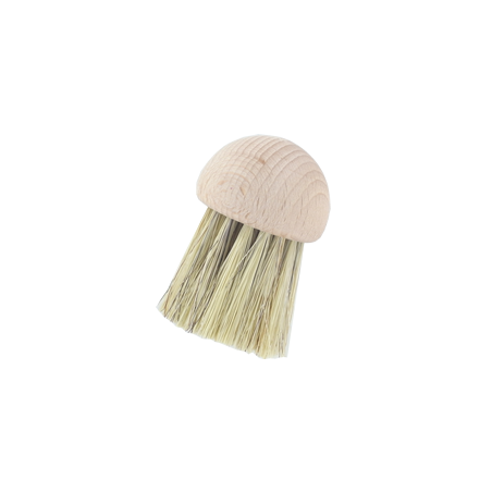 brosse à truffe et champignons