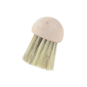 brosse à truffe et champignons