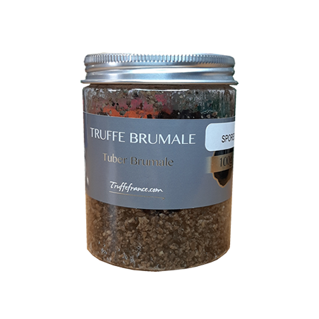 spores de truffes brumale