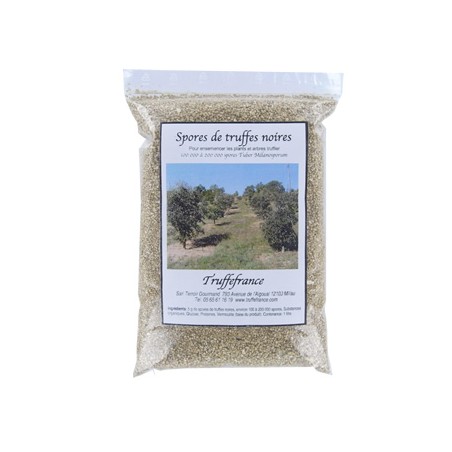 Spores de truffes noires tuber Mélanosporum, substrat
