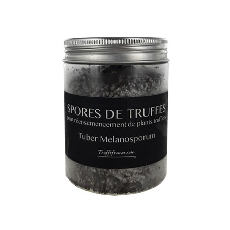 spores truffes noires surgelées Tuber Melanosporum