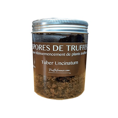 spores truffes Bourgogne surgelées