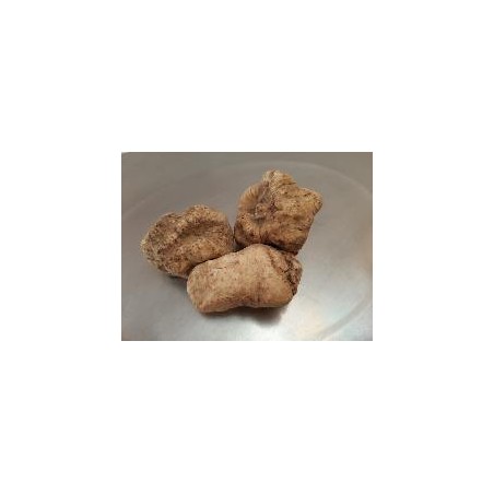 Truffes entières blanches d'Alba fraîches