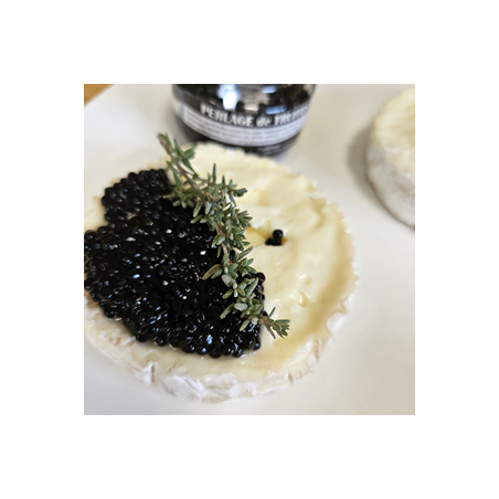 perles de truffe