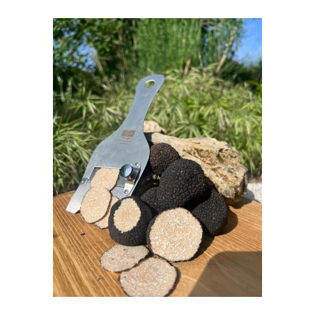 Truffe d'été Tuber Aestivum