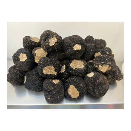 truffes de Bourgogne fraîches