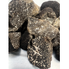Morceaux truffes noires fraîches