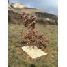dalle de paillage en laine recyclée
