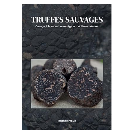 Truffes sauvages, cavage à la mouche en région méditerranéenne