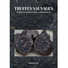 Truffes sauvages, cavage à la mouche en région méditerranéenne