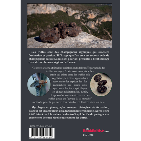 Truffes sauvages, cavage à la mouche en région méditerranéenne