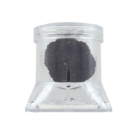 boîte de conservation truffes fraîches