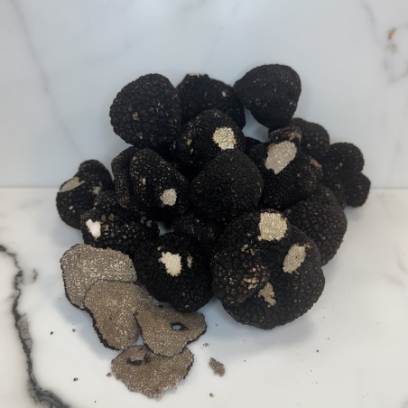 Truffe d'été Tuber Aestivum