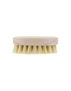 Conservation et brosses à truffes