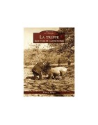 Autour de la truffe