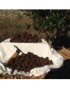 Pics à truffes et couteaux à truffes