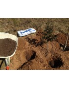 Substrat, amendements pour plants truffiers