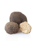 Truffes d'été