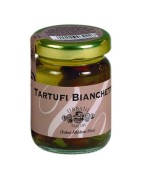 Truffes Bianchetti (Tuber Borchii)