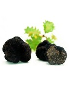 Truffes noires surgelées