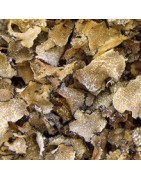 Truffes d'été déshydratées