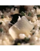 Pâte, riz à la truffe