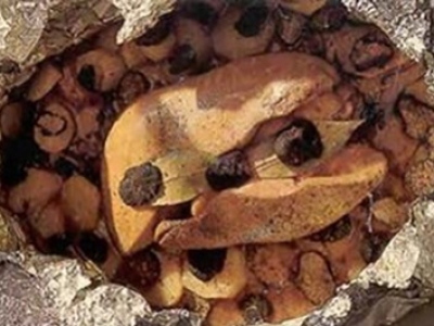 Papillote de foie gras entier aux rattes et aux truffes noires