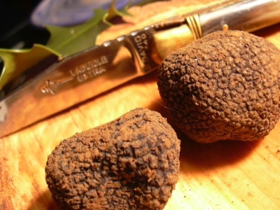 Sauce crème fraîche truffée
