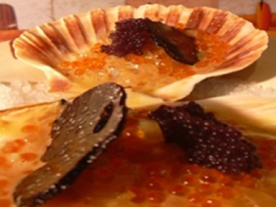 Coquille St-Jacques en sabayon truffé