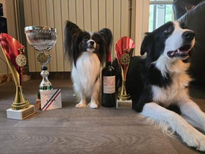 Partenariat Club Canin du Lot, concours de cavage 